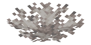 Plik:Martwy wachlarz koralowca mózgowatego.png