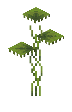 Plik:Mała mimoza.png