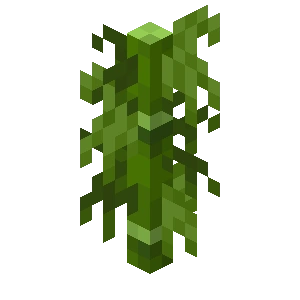 Plik:Bambus z małymi liśćmi BE1.png