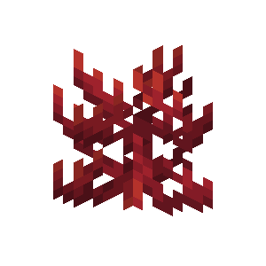 Plik:Koralowiec ognisty.png