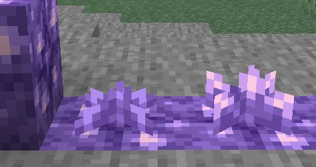 Plik:Rosnące kryształy ametystu.png