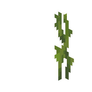 Plik:Łodyga wielkiego spadkoliścia.png