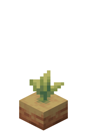 Plik:Rosnący dzbanecznik Faza 1.png