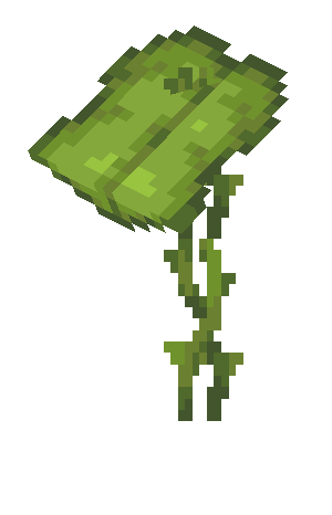 Plik:Lekko przechylona wielka mimoza.png