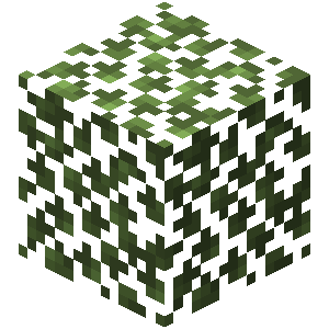 Plik:Brzozowe liście.png