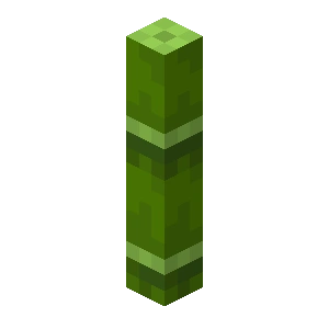 Plik:Gruby bambus bez liści BE1.png