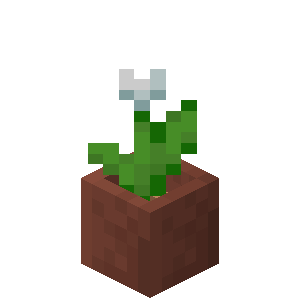 Plik:Biały tulipan w doniczce.png