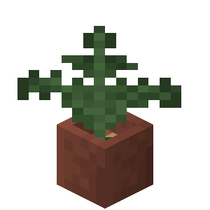 Plik:Paproć w doniczce.png