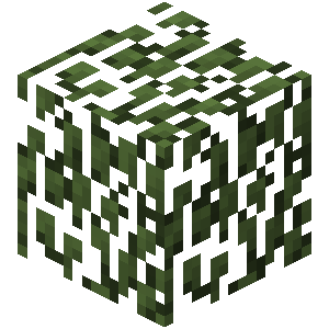 Plik:Brzozowe liście przed Texture Update.png