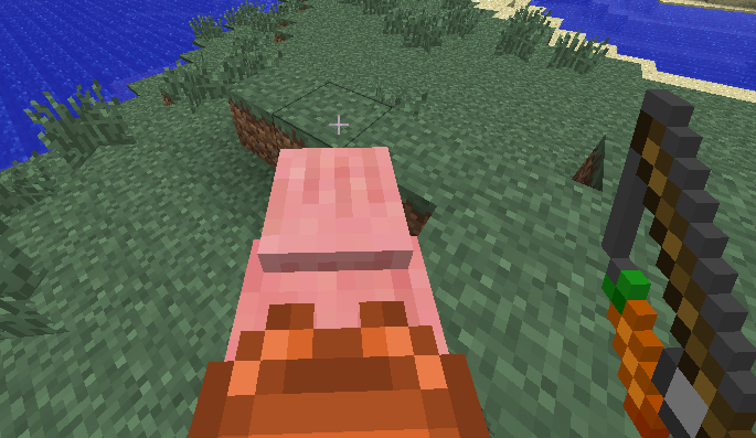 Plik:Jazda na świni.png