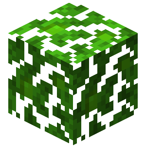 Plik:Tropikalne liście.png