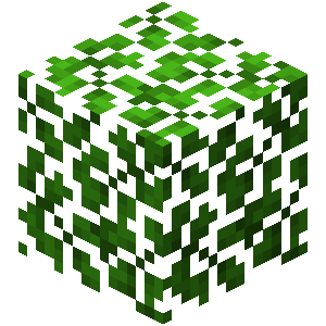 Plik:Akacjowe liście.png