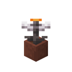 Plik:Otwarta okrotka w doniczce.png