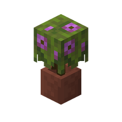 Plik:Kwitnąca azalia w doniczce.png