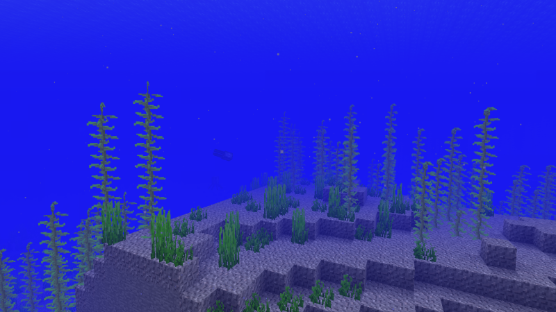 Plik:Trawa morska naturalnie.png