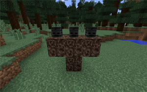 Wither konstrukcja.png