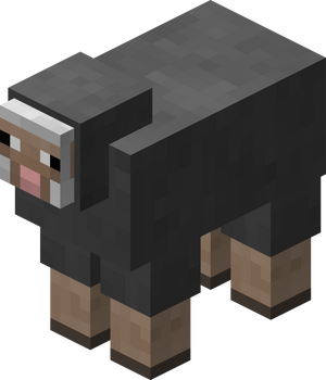 Owca szara przed 1.12.png