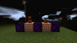 Netherowe Grzyby.png