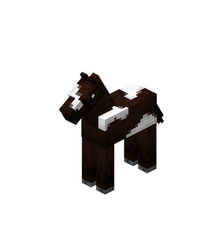Darkbrown Baby Horse with White Field.png