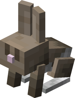 Mały królik Salt & Pepper.png