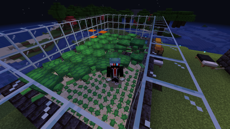 Plik:Żółwie I Ja.png