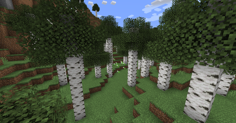 Plik:Old growth birch forest.png