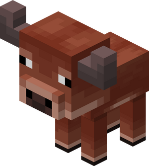 Ciepłolubna krowa dziecko.png