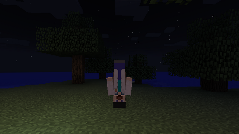 Plik:Dinnerbone Minecraft skin.png