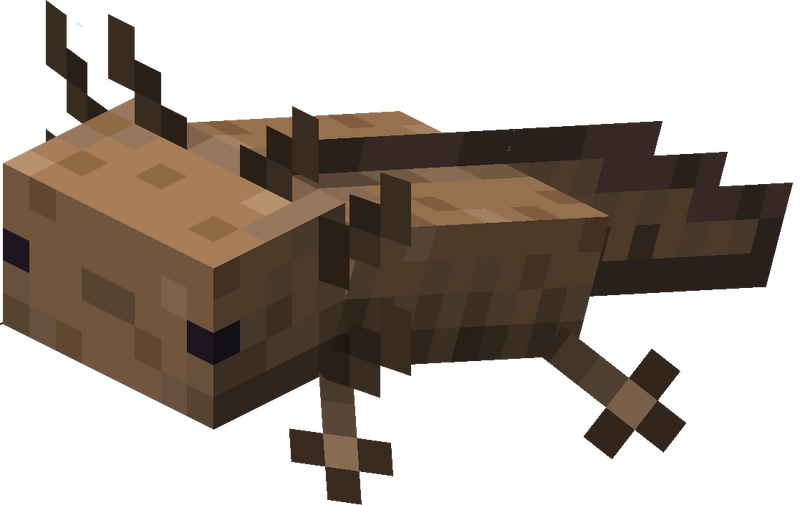 Plik:Dziki unoszący się aksolotl.png