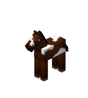 Brown Baby Horse with White Field.png