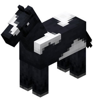 Black Horse with White Field.png
