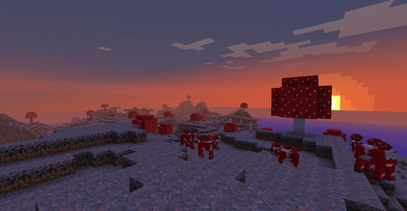 Plik:Grzybowy biom grzybowe krowy.JPG