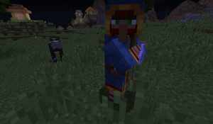 Wędrowny handlarz mikstura.png