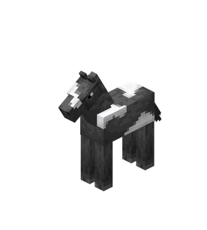 Gray Baby Horse with White Field.png