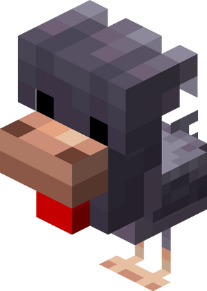 Zimnolubna kura dziecko.png