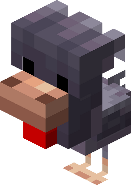 Plik:Zimnolubna kura dziecko.png