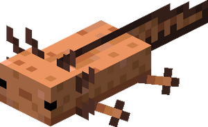Brązowy aksolotl.png