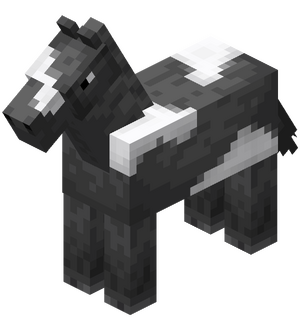 Gray Horse with White Field.png