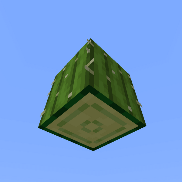 Plik:Kaktus od dołu.png