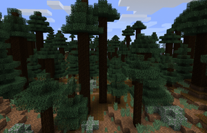 Pierwszy screenshot otoczaków.png