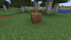 Ziemia na trawie.png