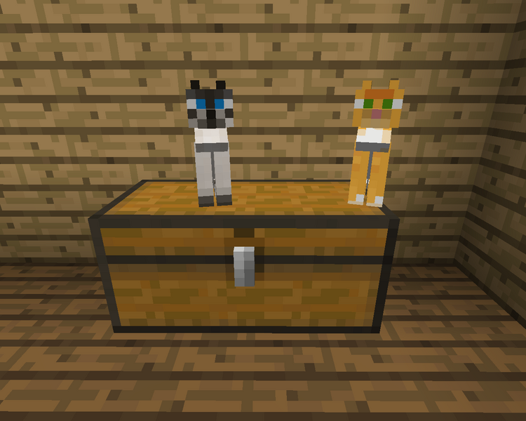 Plik:Koty na skrzyni.png