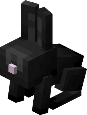 Mały czarny królik.png