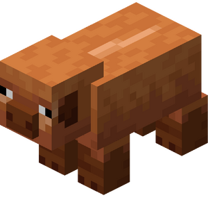 Ciepłolubna świnia.png