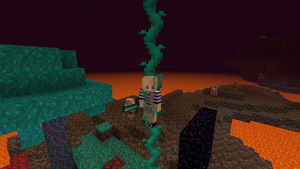 Gracz liany szpaczone.png