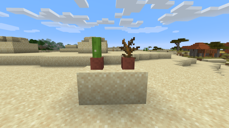 Plik:Kaktus krzak.png