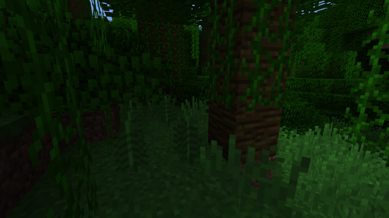 Plik:Dżunglowe paprocie.png