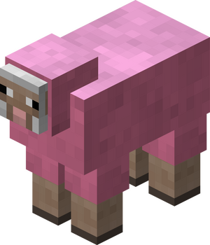 Owca różowa przed 1.12.png