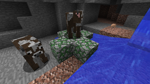 Otoczak w wąwozie.png