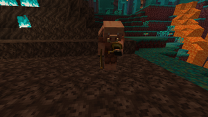 Przed włożeniem.png